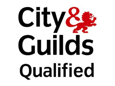 EV Solar | City & Guilds Qualified