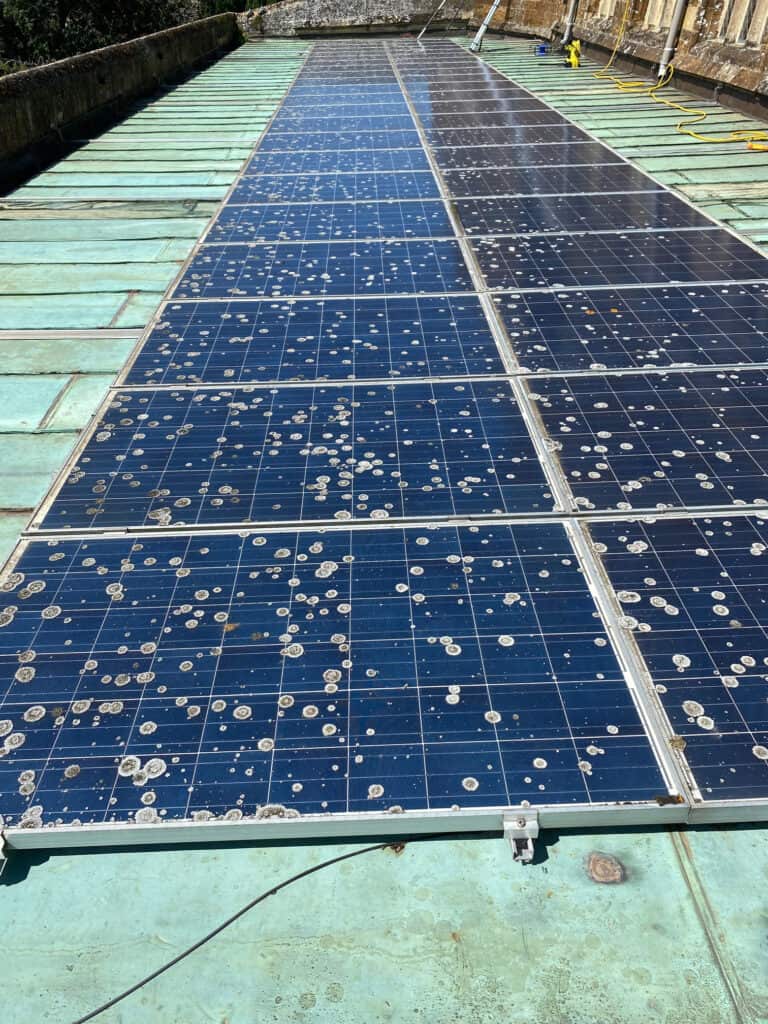 Lichen and moss covered solar panels requiring repairs and cleaning